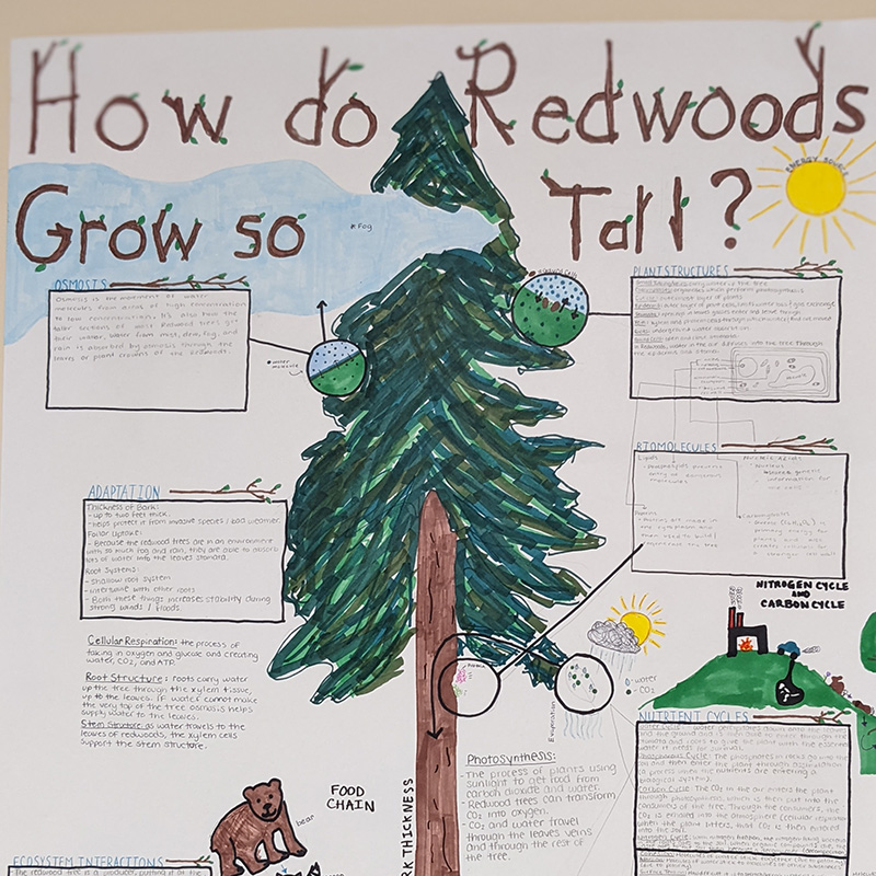 Curriculum Development Photo